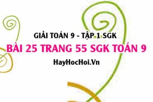 Giải bài 25 trang 55 SGK Toán 9 tập 1